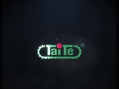 Fábrica de Pistas de Borracha de TaiTe